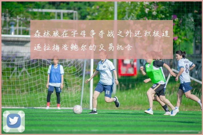 森林狼在字母争夺战之外还积极追逐拉梅洛鲍尔的交易机会